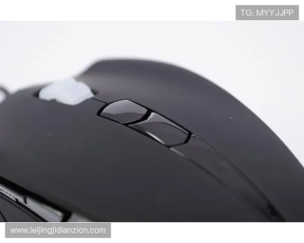 tt电竞版的安全保障措施与用户隐私保护详解