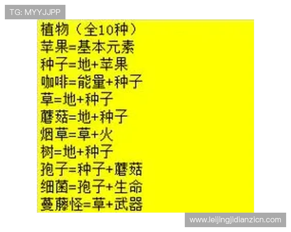完整恶魔老虎机电脑版中文安装教程,解决常见问题提升游戏流畅度 完整恶魔老虎机电脑版中文安装教程,解决常见问题提升游戏流畅度